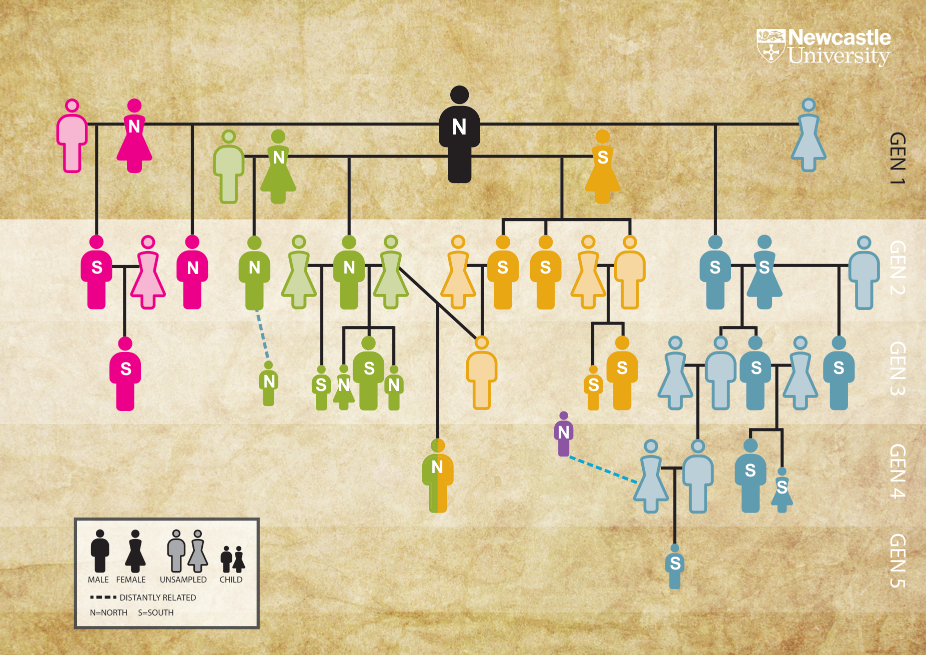 Reconstruction of a Neolithic family from Hazleton North using ancient DNA data