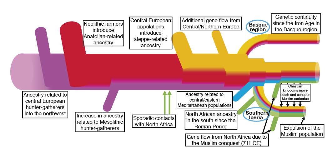Demographic changes in the Iberian Peninsula over the past 10,000 years