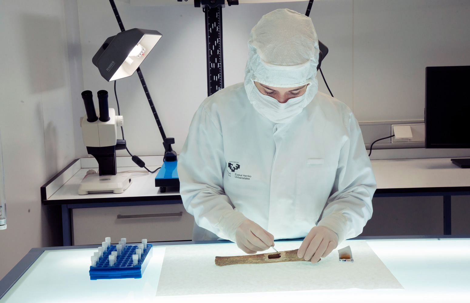 Researcher sampling a bone in the EHU laboratory
